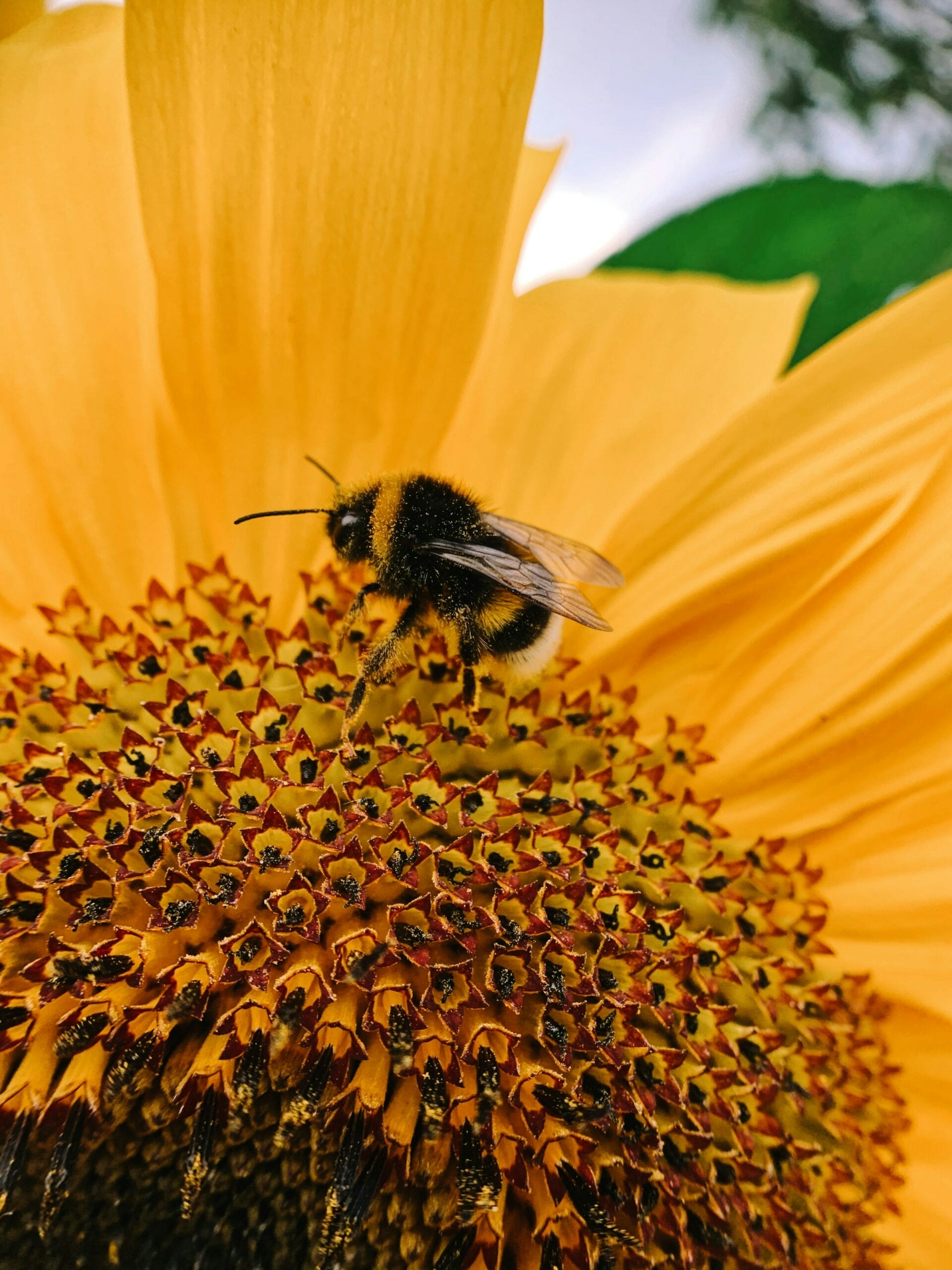 tania-p-BM_31yIHkK0-unsplash